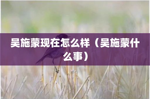 吴施蒙现在怎么样（吴施蒙什么事）