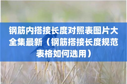 钢筋内搭接长度对照表图片大全集最新（钢筋搭接长度规范表格如何选用）