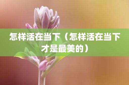 怎样活在当下（怎样活在当下才是最美的）