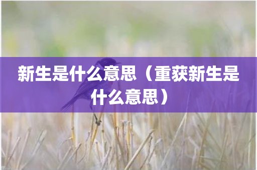 新生是什么意思（重获新生是什么意思）