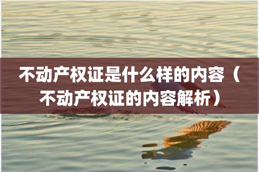 不动产权证是什么样的内容（不动产权证的内容解析）