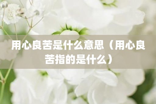 用心良苦是什么意思（用心良苦指的是什么）