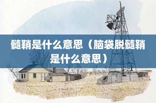 髓鞘是什么意思（脑袋脱髓鞘是什么意思）