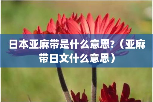 日本亚麻带是什么意思?（亚麻带日文什么意思）