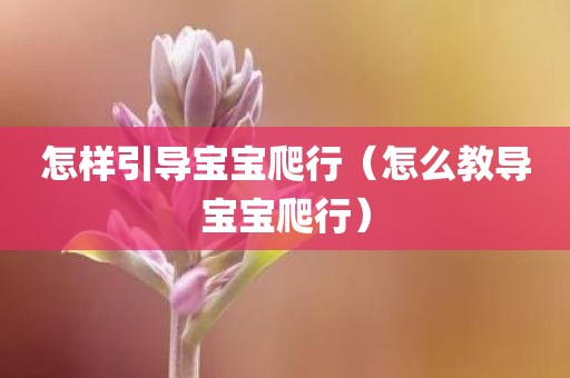 怎样引导宝宝爬行（怎么教导宝宝爬行）