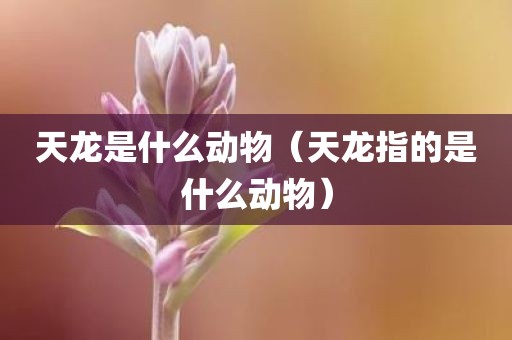 天龙是什么动物（天龙指的是什么动物）