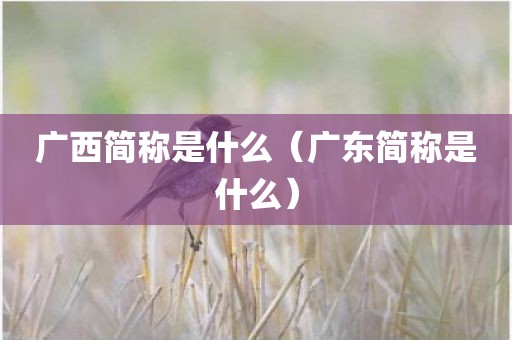 广西简称是什么（广东简称是什么）