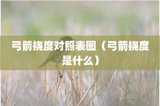 弓箭挠度对照表图（弓箭挠度是什么）