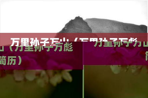 万里孙子万山(万里孙子万彪简历)