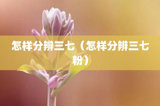 怎样分辨三七（怎样分辨三七粉）