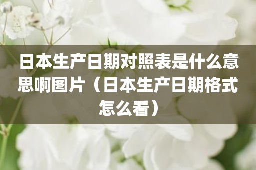 日本生产日期对照表是什么意思啊图片（日本生产日期格式怎么看）