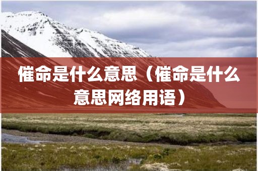 催命是什么意思（催命是什么意思网络用语）