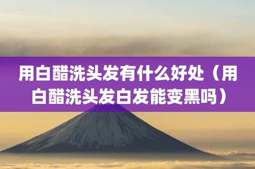 用白醋洗头发有什么好处（用白醋洗头发白发能变黑吗）