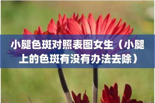 小腿色斑对照表图女生（小腿上的色斑有没有办法去除）