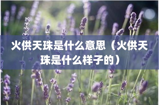 火供天珠是什么意思（火供天珠是什么样子的）