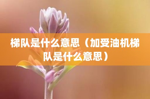 梯队是什么意思（加受油机梯队是什么意思）