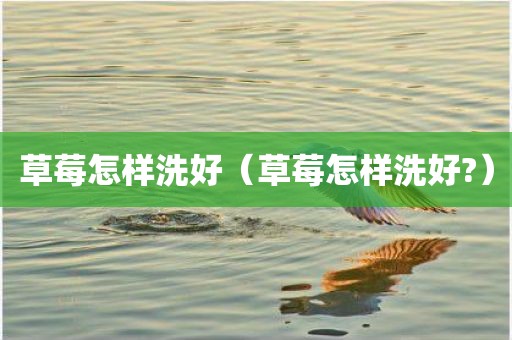 草莓怎样洗好(草莓怎样洗好?)