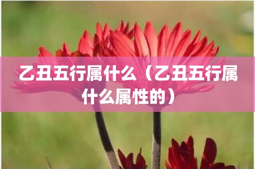 乙丑五行属什么（乙丑五行属什么属性的）