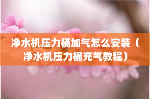 净水机压力桶加气怎么安装（净水机压力桶充气教程）