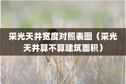 采光天井宽度对照表图（采光天井算不算建筑面积）