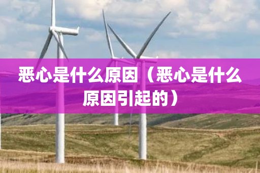 恶心是什么原因（恶心是什么原因引起的）