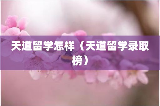 天道留学怎样（天道留学录取榜）