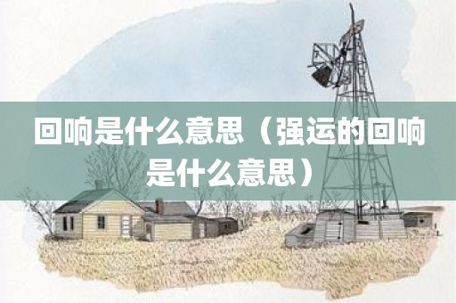 回响是什么意思（强运的回响是什么意思）