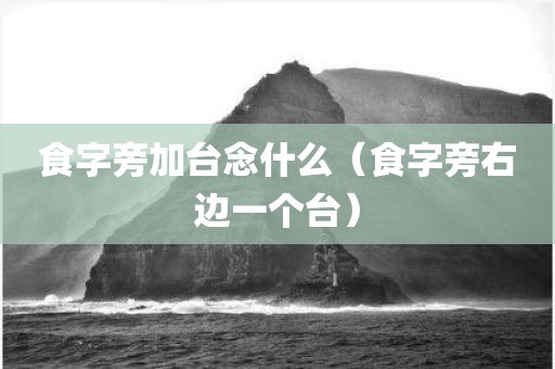 食字旁加台念什么（食字旁右边一个台）