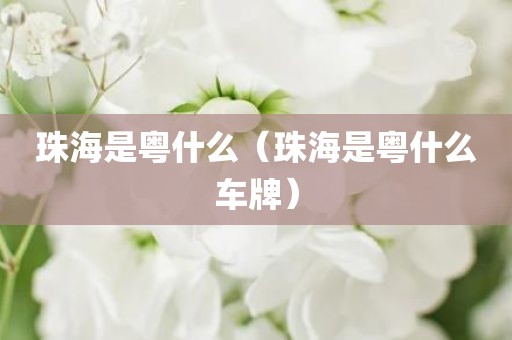 珠海是粤什么（珠海是粤什么车牌）