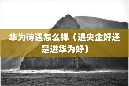 华为待遇怎么样（进央企好还是进华为好）