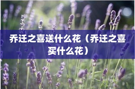 乔迁之喜送什么花（乔迁之喜买什么花）