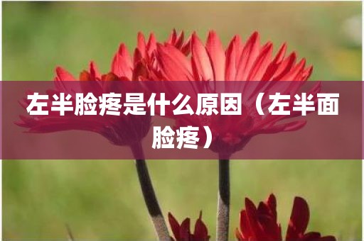 左半脸疼是什么原因（左半面脸疼）