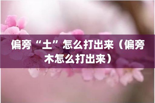 偏旁“土”怎么打出来（偏旁木怎么打出来）