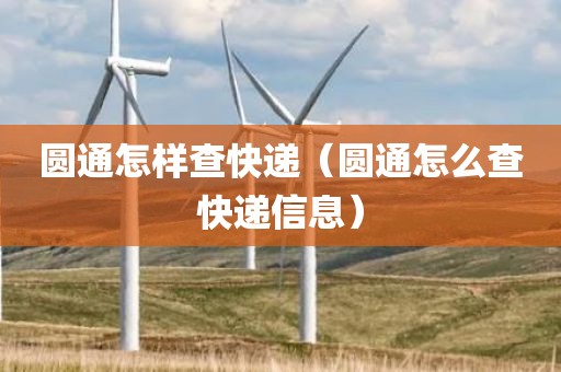 圆通怎样查快递（圆通怎么查快递信息）