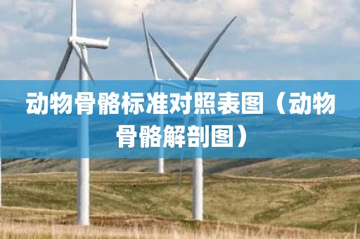 动物骨骼标准对照表图（动物骨骼解剖图）