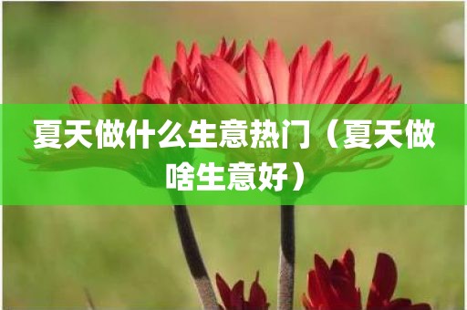 夏天做什么生意热门（夏天做啥生意好）