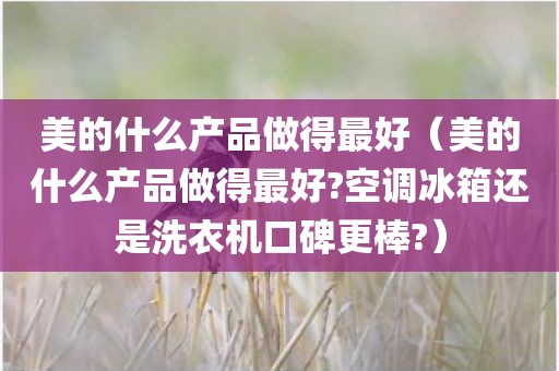 美的什么产品做得最好（美的什么产品做得最好?空调冰箱还是洗衣机口碑更棒?）