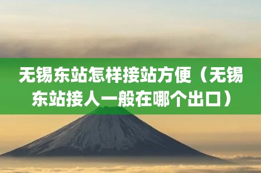 无锡东站怎样接站方便（无锡东站接人一般在哪个出口）