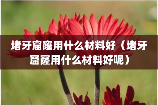 堵牙窟窿用什么材料好（堵牙窟窿用什么材料好呢）