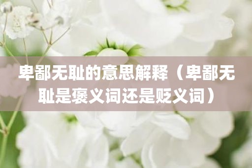 卑鄙无耻的意思解释(卑鄙无耻是褒义词还是贬义词)