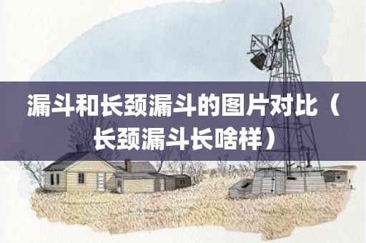 漏斗和长颈漏斗的图片对比(长颈漏斗长啥样) 漏斗和长颈漏斗的图片对比(长颈漏斗长啥样)
