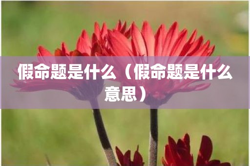 假命题是什么（假命题是什么意思）