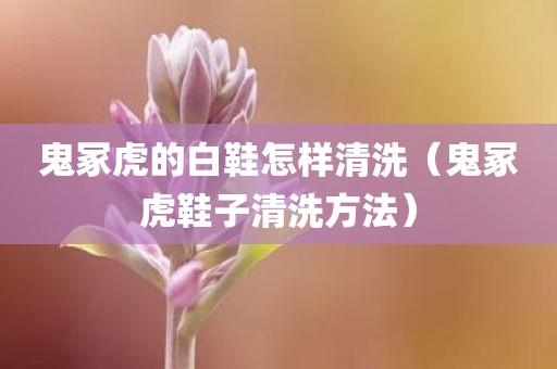 鬼冢虎的白鞋怎样清洗（鬼冢虎鞋子清洗方法）