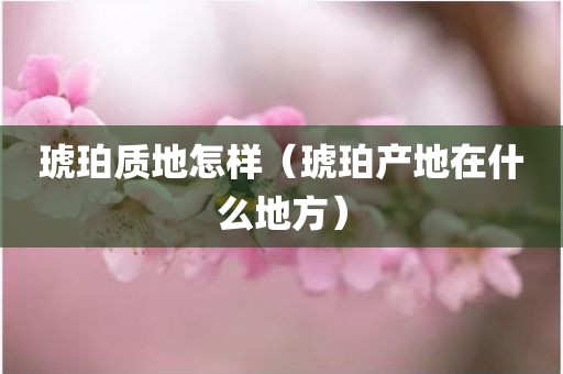 琥珀质地怎样（琥珀产地在什么地方）