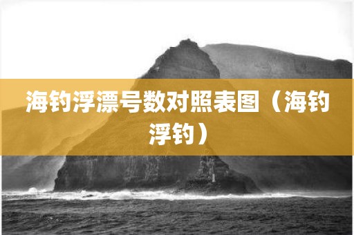 海钓浮漂号数对照表图（海钓浮钓）