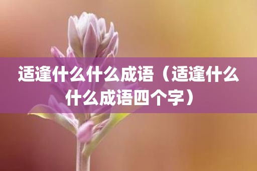 适逢什么什么成语（适逢什么什么成语四个字）