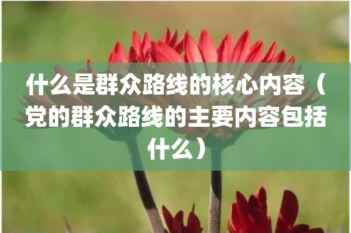 什么是群众路线的核心内容（党的群众路线的主要内容包括什么）