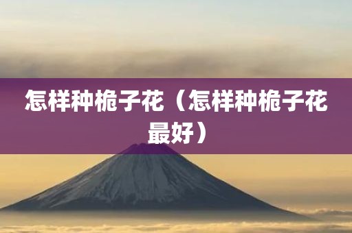 怎样种桅子花（怎样种桅子花最好）