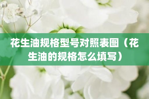 花生油规格型号对照表图（花生油的规格怎么填写）