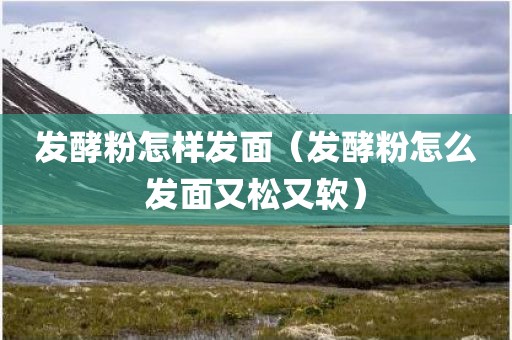 发酵粉怎样发面（发酵粉怎么发面又松又软）